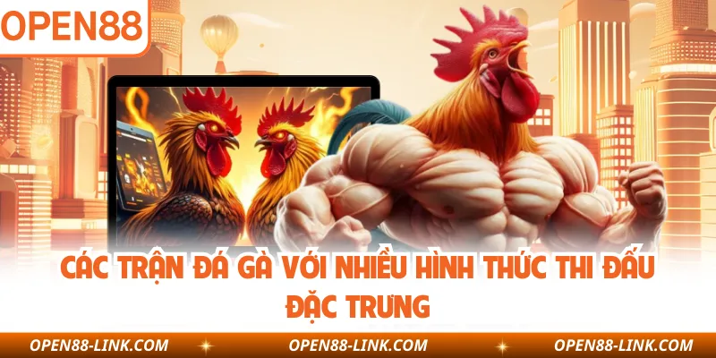 Các trận đá gà với nhiều hình thức thi đấu đặc trưng